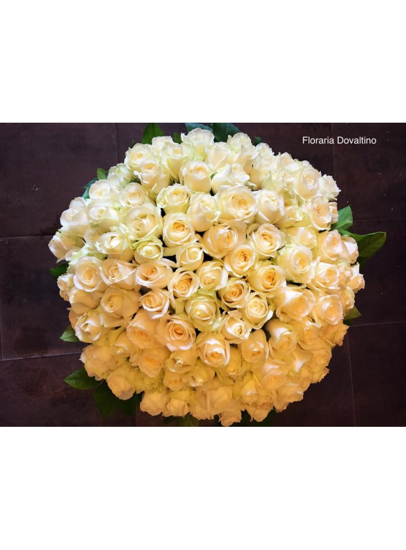 Buchet de flori 101 trandafiri albi 